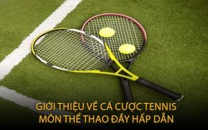 Cá Cược Tennis - 7 Bí Quyết Thắng Kèo Hiệu Quả
